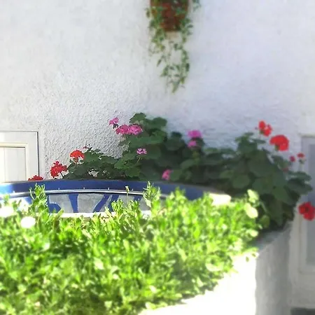 Διαμέρισμα Koralli Κορησσία