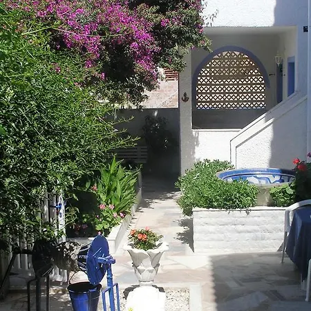 Koralli